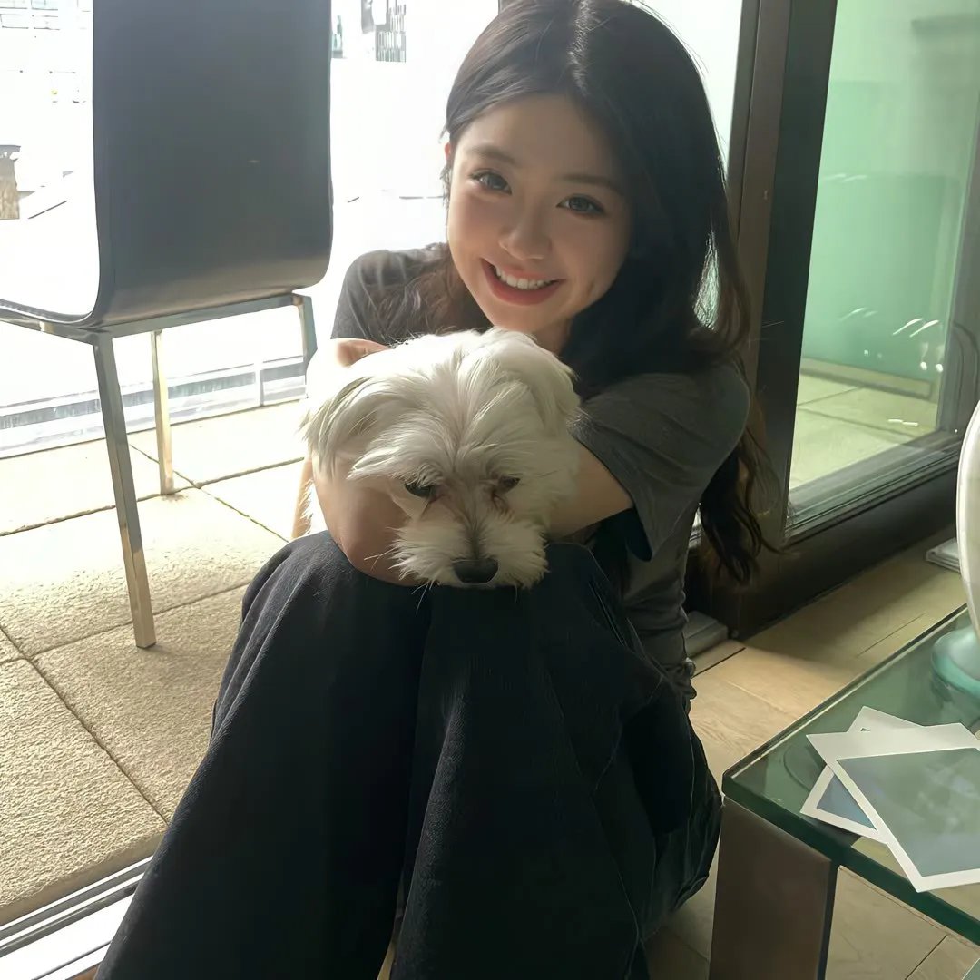 狄小肆之幽冥飞狼